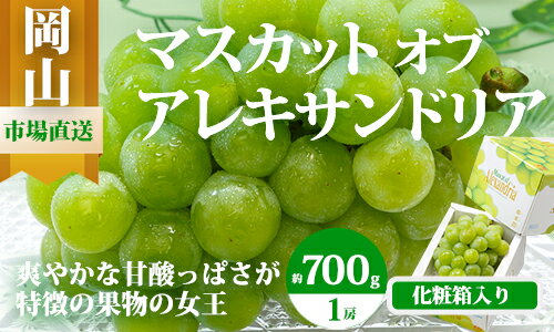 【令和8年発送・先行予約】岡山県産　マスカットオブアレキサンドリア（700g以上・秀品以上）1房　化粧箱入り　CS-12　※北海道・沖縄県・離島への配送はできません。