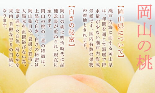【ふるさと納税】【令和8年発送・先行予約】岡山県産　白桃8玉（合計1.7kg以上）　化粧箱入り　Do-1　※北海道・沖縄県・離島への配送はできません。 サムネイル3
