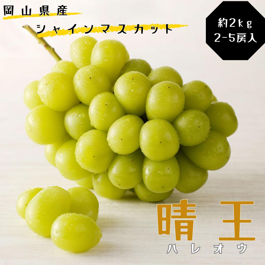 シャインマスカット 晴王 秀品 大房 約2kg 2-5房 岡山県産 ぶどう ギフト 御礼 プレゼント 御礼 御祝 御供 果物 くだもの フルーツ　hh-106