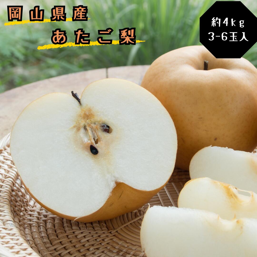 梨 あたご梨 秀品 約4kg 岡山名産 日本一大きな梨 お歳暮 ギフト 御礼 プレゼント 御礼 御祝 御供 果物 くだもの フルーツ　gg-105
