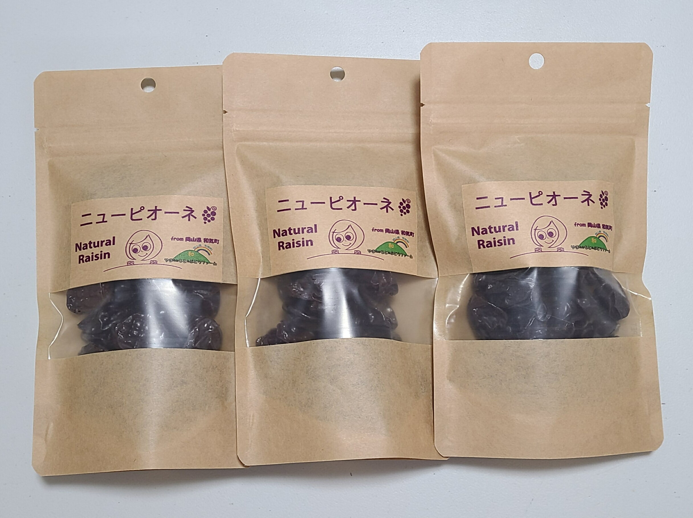 ピオーネ干しぶどう（100g×3セット）SS-130