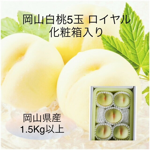 【令和8年発送・先行予約】岡山県産　白桃5玉（合計1.5kg以上）等級：ロイヤル　化粧箱入り　VT-1　※北海道・沖縄県・離島への配送はできません。