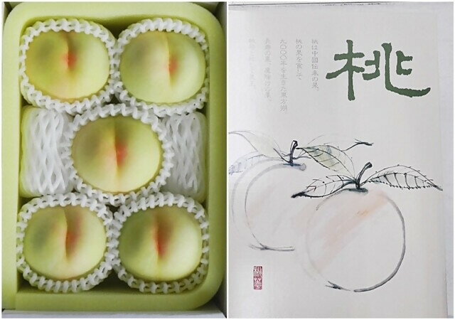 【ふるさと納税】【令和8年発送・先行予約】岡山県産　白桃5玉（合計1.5kg以上）等級：ロイヤル　化粧箱入り　VT-1　※北海道・沖縄県・離島への配送はできません。 サムネイル2