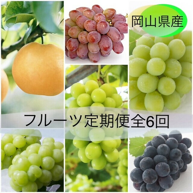 【令和8年発送・先行予約】フルーツ定期便全4回　vz-1