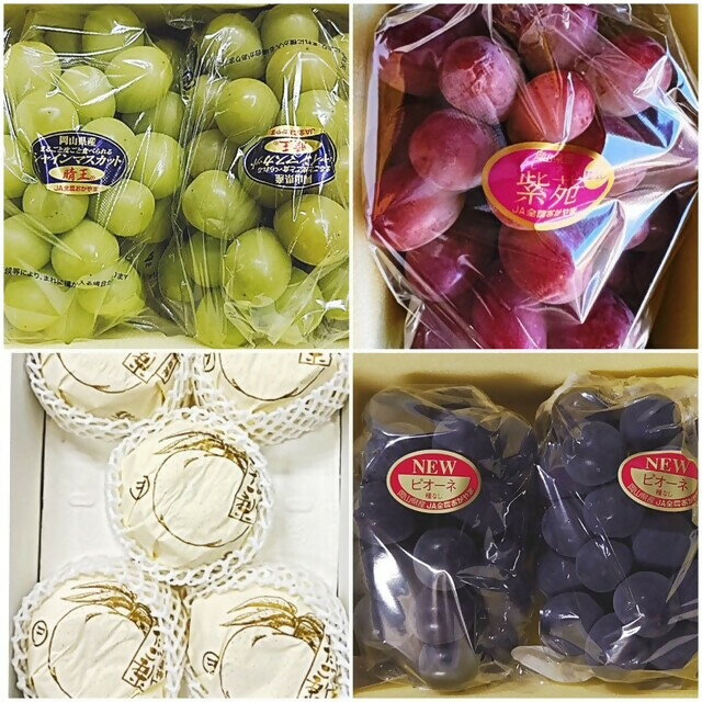 【ふるさと納税】【令和8年発送・先行予約】フルーツ定期便全4回　vz-1 サムネイル2