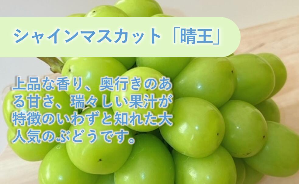 【ふるさと納税】岡山県産　シャインマスカット『晴王』3回定期便 各月2房（1房600g以上）（山博） サムネイル2