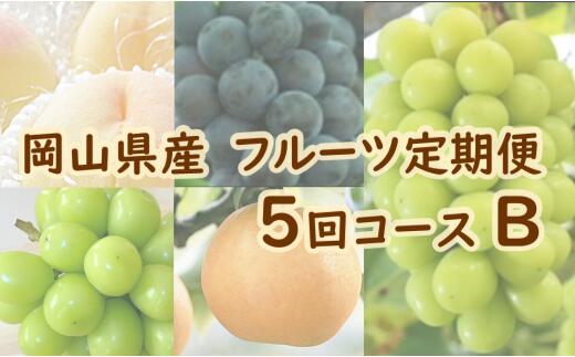 岡山県産 フルーツ定期便 5回コースB（山博）