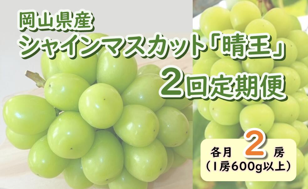 岡山県産　シャインマスカット『晴王』2回定期便 各月2房（1房600g以上）（山博）