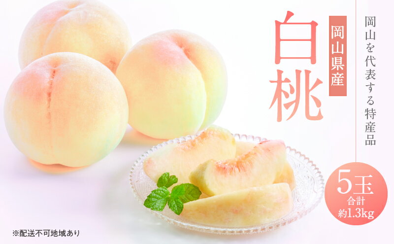 【ふるさと納税】桃 2026年 先行予約 白桃 5玉 合計約1.3kg もも モモ 岡山県産 国産 フルーツ 果物 ギフト　お届け：2026年7月中旬～2026年7月下旬 サムネイル2