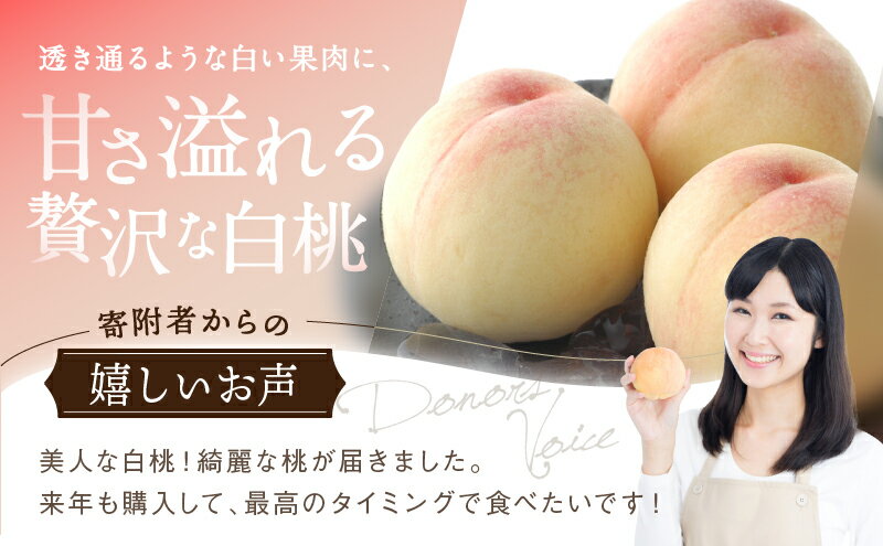 【ふるさと納税】桃 2026年 先行予約 白桃 5玉 合計約1.3kg もも モモ 岡山県産 国産 フルーツ 果物 ギフト　お届け：2026年7月中旬～2026年7月下旬 サムネイル3