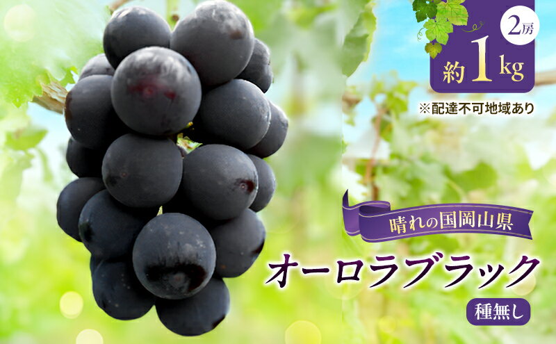 【ふるさと納税】【2026年先行予約】 ぶどう 岡山県産 オーロラブラック （ 種無し ）約1kg（2房） 《2026年9月上旬-中旬頃出荷》 葡萄 ブドウ フルーツ 果物 スイーツ 数量限定 期間限定 岡山 里庄町 　お届け：2026年9月上旬～2026年9月中旬 サムネイル2