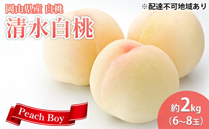 【ふるさと納税】【 2026年 先行予約】 桃 岡山県産 清水 白桃 約2kg(6～8玉) 《2026年7月中旬-8月上旬頃出荷》 白桃 岡山 はくとう スイーツ フルーツ 果物 先行予約 数量限定 期間限定 岡山 里庄町 モモ もも 桃 　お届け：2026年7月中旬～2026年8月上旬 サムネイル2