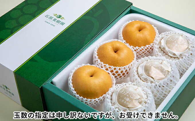 【ふるさと納税】梨 2025年 先行予約 あたご梨 4～9玉 合計約4.5kg 贈答箱【11月下旬～12月中旬頃発送】 ナシ なし 岡山県産 国産 フルーツ 果物 ギフト 石原果樹園 　お届け：2025年11月15日～2025年12月20日 サムネイル3