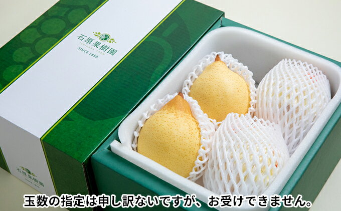 【ふるさと納税】梨 2025年 先行予約 鴨梨（ヤーリー）3～6玉 合計約2kg 贈答箱【11月下旬～12月中旬頃発送】 ナシ なし 岡山県産 国産 フルーツ 果物 ギフト 石原果樹園 　お届け：2025年11月15日～2025年12月20日 サムネイル3