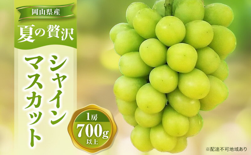 【ふるさと納税】【2026年先行予約】 ぶどう 夏の贅沢 シャインマスカット 1房(700g以上) 【7月20日から7月30日までに発送】 葡萄 ブドウ 岡山県産 フルーツ 果物 数量限定 期間限定 岡山 里庄町 　お届け：2026年7月20日～2026年7月30日 サムネイル2