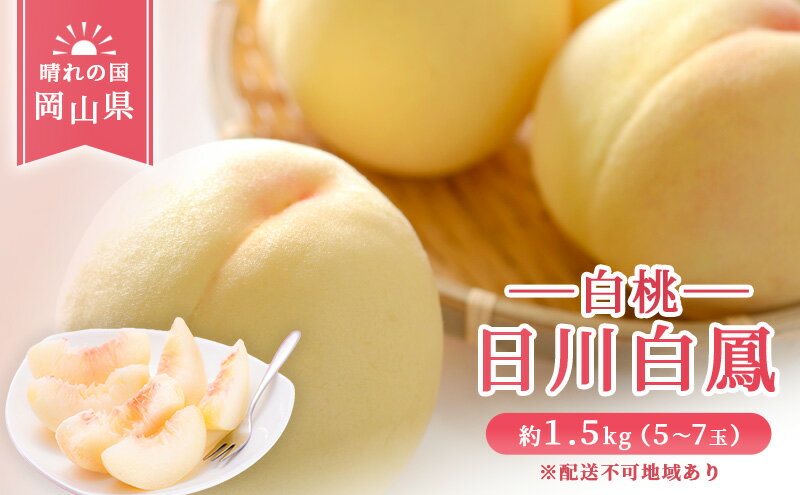 【ふるさと納税】【 2026年 先行予約】 桃 岡山県産 日川 白鳳 （白桃） 約1.5kg（5～7玉） 《2026年6月下旬-7月上旬頃出荷》 白桃 岡山 スイーツ フルーツ 果物 先行予約 数量限定 期間限定 岡山 里庄町 　お届け：2026年6月下旬～2026年7月上旬 サムネイル2