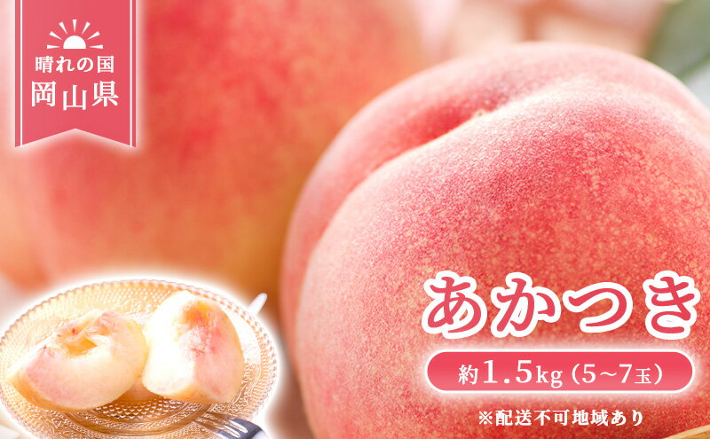 【ふるさと納税】【 2026年 先行予約】 桃 岡山県産 あかつき 約1.5kg(5～7玉) 《2026年7月上旬-中旬頃出荷》 白桃 岡山 はくとう スイーツ フルーツ 果物 先行予約 数量限定 期間限定 岡山 里庄町 モモ もも 桃 　お届け：2026年7月上旬～2026年7月中旬 サムネイル2