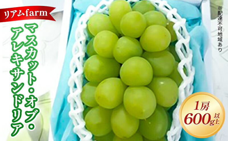 【ふるさと納税】【 2026年 先行予約】 ぶどう 岡山県産 マスカット・オブ・アレキサンドリア 1房（600g以上） 《2026年7月上旬-下旬頃出荷》 葡萄 ブドウ フルーツ 果物 スイーツ 数量限定 期間限定 里庄町 リアム farm　お届け：2026年7月上旬～2026年7月下旬 サムネイル2