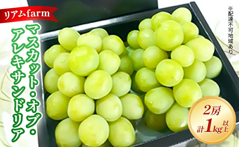 【ふるさと納税】【2026年先行予約】 ぶどう 岡山県産 マスカット・オブ・アレキサンドリア 2房（計1kg以上） 《2026年7月上旬-下旬頃出荷》 葡萄 ブドウ フルーツ 果物 スイーツ 数量限定 期間限定 里庄町 リアム farm　お届け：2026年7月上旬～2026年7月下旬 サムネイル2