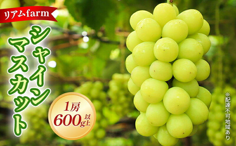 【ふるさと納税】【 2026年 先行予約】 ぶどう 岡山県産 シャインマスカット 1房（600g以上） 《2026年7月下旬-8月中旬頃出荷》 葡萄 ブドウ フルーツ 果物 スイーツ 数量限定 期間限定 里庄町 リアム farm　お届け：2026年7月下旬～2026年8月中旬 サムネイル2