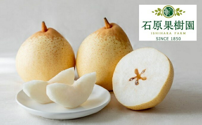 【ふるさと納税】梨 2025年 先行予約 備前乙女梨（鴨梨） 6～9玉 合計約4kg【11月下旬～12月中旬頃発送】 ナシ なし 岡山県産 国産 フルーツ 果物 ギフト 石原果樹園 　お届け：2025年11月15日～2025年12月20日 サムネイル2