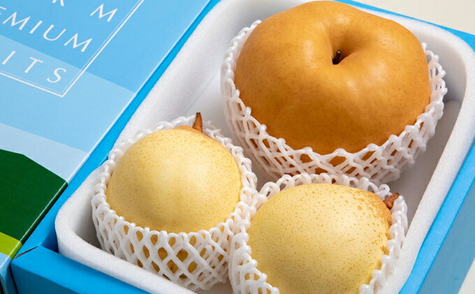 【ふるさと納税】梨 2025年 先行予約 備前横綱梨（あたご梨） 1玉( 1～1.4kg)・備前乙女梨（鴨梨） 2～3玉 詰合せ 合計約2.0kg【11月下旬～12月中旬頃発送】 岡山県産 フルーツ ギフト 石原果樹園 ナシ 果物 　お届け：2025年11月15日～2025年12月20日 サムネイル3