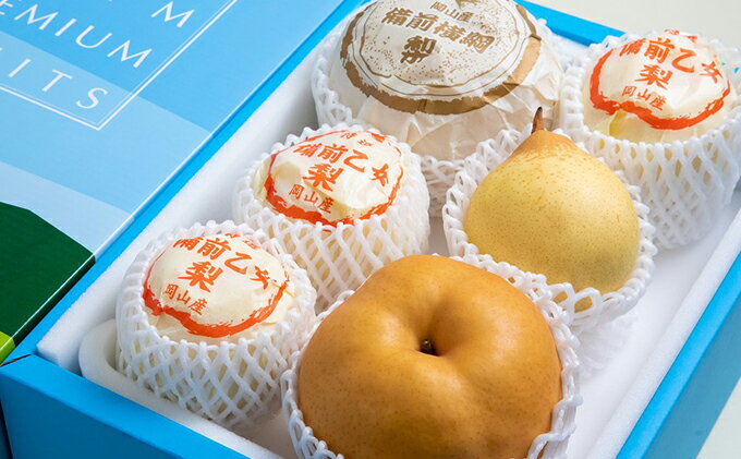 【ふるさと納税】梨 2025年 先行予約 備前横綱梨（あたご梨） 2玉（1玉1～1.4kg）・備前乙女梨（鴨梨） 4～6玉 詰合せ 合計約4.0kg【11月下旬～12月中旬頃発送】 岡山県産 フルーツ ギフト 石原果樹園 和梨 　お届け：2025年11月15日～2025年12月20日 サムネイル3