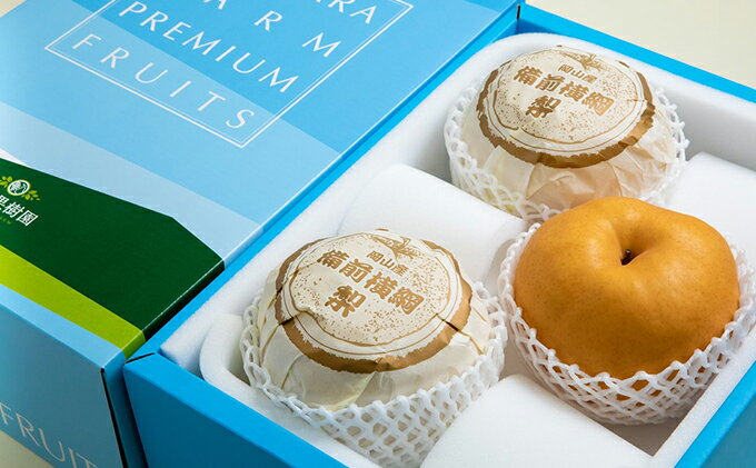 【ふるさと納税】梨 2025年 先行予約 備前横綱梨（あたご梨）3玉（1玉1～1.4kg）贈答箱【11月下旬～12月中旬頃発送】 ナシ なし 岡山県産 国産 フルーツ 果物 ギフト 石原果樹園 　お届け：2025年11月15日～2025年12月20日 サムネイル3