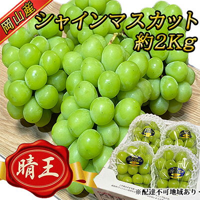 【ふるさと納税】ぶどう2026年 先行予約 岡山 名産 晴王 シャイン マスカット たっぷり2kg！9月上旬以降順次発送 ギフトにも ブドウ 葡萄 岡山県産 国産 フルーツ 果物 ギフト用 贈答用 皮ごと 種なし 産地直送 　お届け：2026年9月上旬～20265年10月上旬 サムネイル2