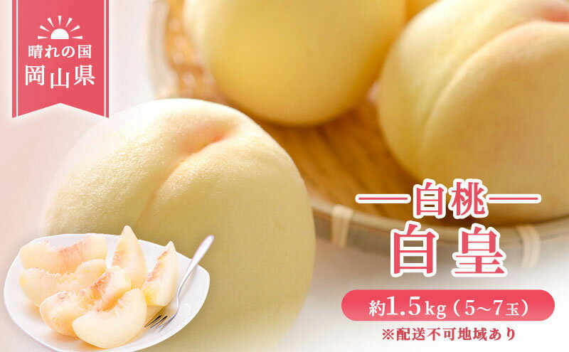 【ふるさと納税】【 2026年 先行予約】 桃 岡山県産 白皇 （ 白桃 ） 約1.5kg （5～7玉） 白桃 岡山 はくとう スイーツ フルーツ 果物 先行予約 数量限定 期間限定 里庄町 モモ もも 　お届け：2026年8月中旬～2026年8月下旬 サムネイル2