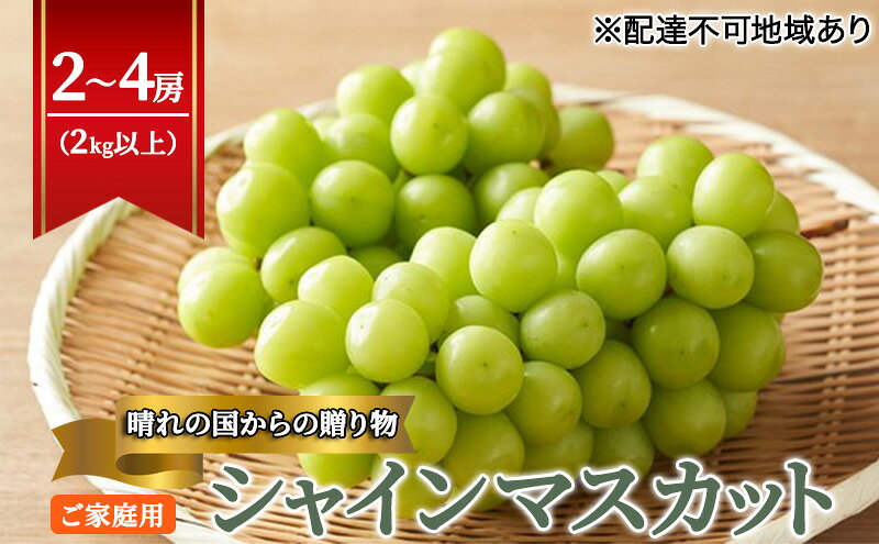 【ふるさと納税】【2026年先行予約】【ご家庭用】 ぶどう 岡山県産 晴れの国からの 贈り物 シャインマスカット 2kg以上（2房～4房） 《2026年9月上旬-10月中旬頃出荷》 葡萄 フルーツ 果物 スイーツ 数量限定 期間限定 岡山 里庄町　お届け：2026年9月上旬～10月中旬 サムネイル2
