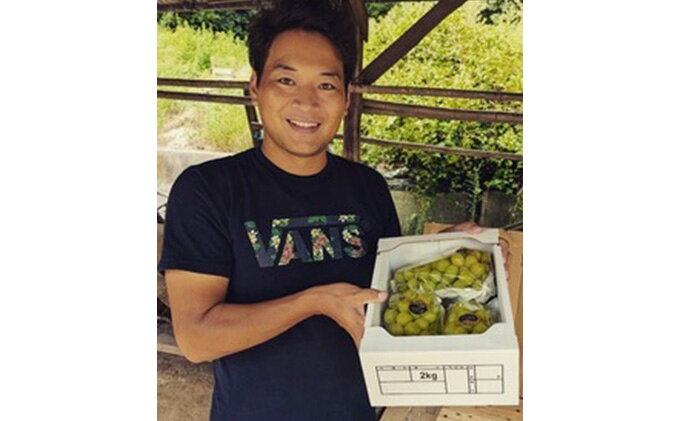 【ふるさと納税】【2026年先行予約】【ご家庭用】 ぶどう 岡山県産 晴れの国からの 贈り物 シャインマスカット 2kg以上（2房～4房） 《2026年9月上旬-10月中旬頃出荷》 葡萄 フルーツ 果物 スイーツ 数量限定 期間限定 岡山 里庄町　お届け：2026年9月上旬～10月中旬 サムネイル3