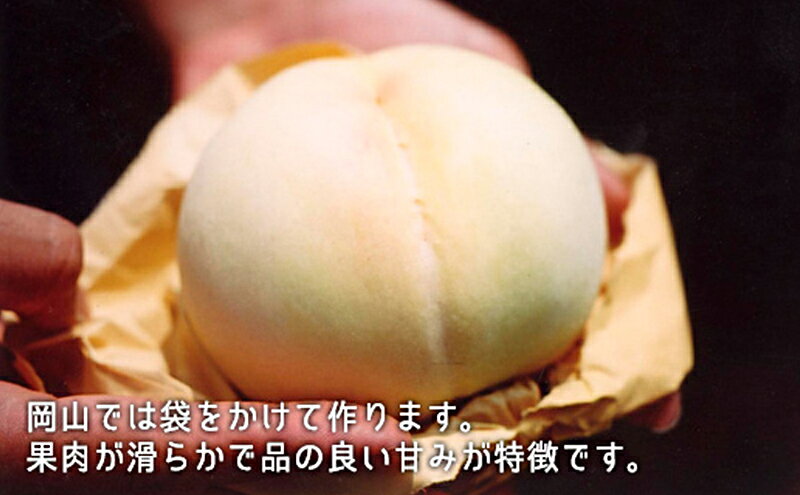 【ふるさと納税】桃 ぶどう 2026年 白桃 晩生種 3玉 シャイン マスカット 1房 ニュー ピオーネ 1房 合計約1.8kg もも 葡萄 岡山県産 国産 フルーツ 果物 ギフト　お届け：2026年8月下旬～2026年9月中旬 サムネイル3