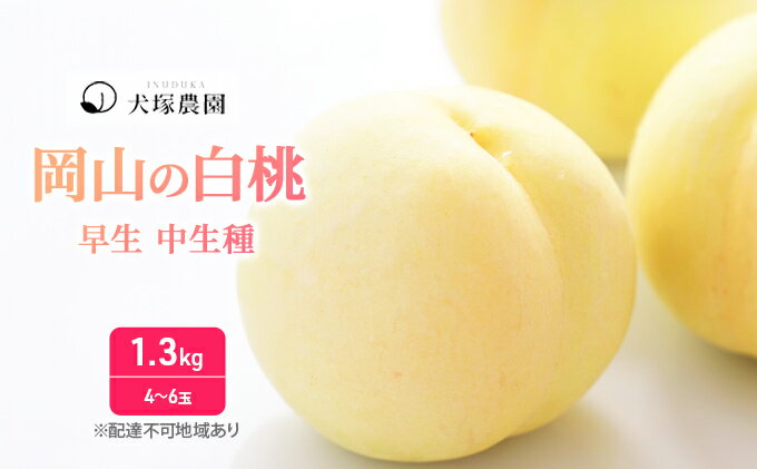 【ふるさと納税】桃 2026年 先行予約 ご家庭用 訳あり 1.3kg 4～6玉 もも モモ 国産 岡山 白桃 はくとう スイーツ フルーツ 果物 デザート 旬 岡山県 里庄町 送料無料 早生 中生種 犬塚農園 　お届け：2026年6月下旬～2026年8月中旬 サムネイル2