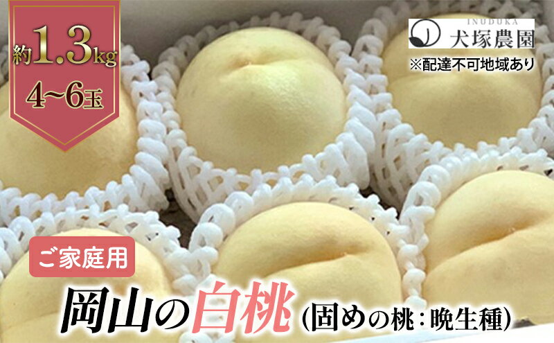 【ふるさと納税】固めの桃 2026年 先行予約 ご家庭用 岡山 の 白桃 （晩生種）約1.3kg 4～6玉 岡山県 フルーツ もも 桃 モモ ピーチ 人気 新鮮 フルーツ 桃 もも 桃 モモ 訳あり くだもの 桃 もも 果物 フルーツ 桃 もも 　お届け：2026年8月中旬～2026年9月上旬 サムネイル2