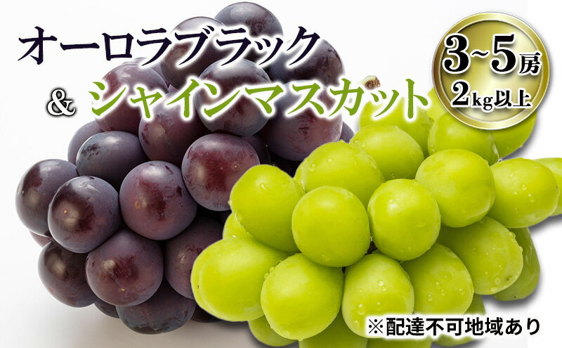 【ふるさと納税】【2026年先行予約】 ご家庭用 ぶどう 岡山県産オーロラブラック＆シャインマスカット 3～5房（2kg以上) 《2026年7月下旬-8月下旬頃出荷》 葡萄 ブドウ フルーツ 果物 スイーツ 数量限定 期間限定 里庄町 リアム farm　お届け：2026年7月下旬～2026年8月下旬 サムネイル2