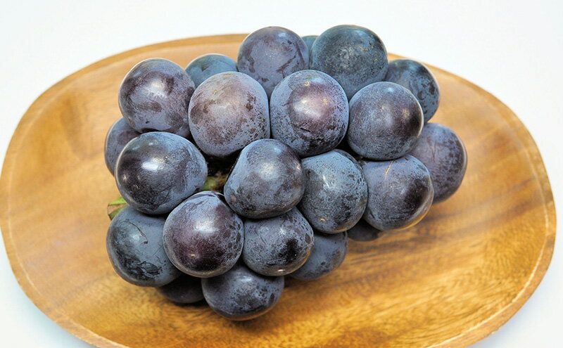 【ふるさと納税】【2026年先行予約】 ご家庭用 ぶどう 岡山県産オーロラブラック＆シャインマスカット 3～5房（2kg以上) 《2026年7月下旬-8月下旬頃出荷》 葡萄 ブドウ フルーツ 果物 スイーツ 数量限定 期間限定 里庄町 リアム farm　お届け：2026年7月下旬～2026年8月下旬 サムネイル3