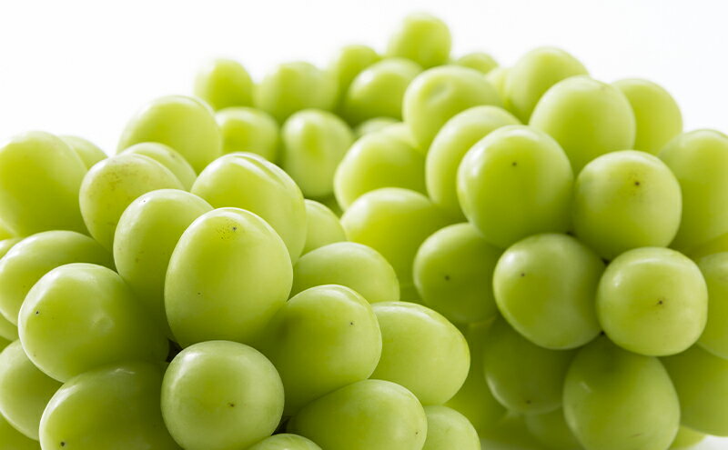 【ふるさと納税】【定期便】【2026年先行予約】 ぶどう 岡山県産 シャインマスカット 1kg箱（各2～3房） 定期便 3回 《2026年10月中旬-12月上旬頃出荷》 葡萄 ブドウ 岡山県産 フルーツ 果物 数量限定　お届け：2026年10月中旬～2026年12月上旬 サムネイル3