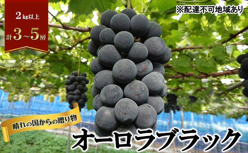 【ふるさと納税】【2026年先行予約】 ぶどう 岡山県産 晴れの国からの 贈り物 オーロラブラック 2kg以上（3房～5房） 《2026年8月下旬-9月中旬出荷》 葡萄 フルーツ 果物 スイーツ 数量限定 期間限定 岡山 里庄町　お届け：2026年8月下旬～2026年9月中旬 サムネイル2