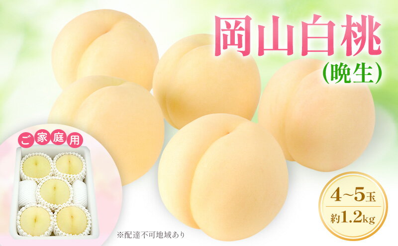 【ふるさと納税】もも 2026年 先行予約 【ご家庭用】 岡山白桃 エース (晩生) 4～5玉 約1.2kg (8月中旬～8月下旬出荷予定)　お届け：2026年8月10日～2026年8月31日 サムネイル2