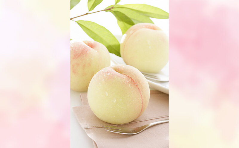 【ふるさと納税】もも 2026年 先行予約 【ご家庭用】 岡山白桃 エース (晩生) 4～5玉 約1.2kg (8月中旬～8月下旬出荷予定)　お届け：2026年8月10日～2026年8月31日 サムネイル3