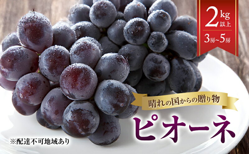 【ふるさと納税】【2026年先行予約】 ぶどう 岡山県産 晴れの国からの 贈り物 ピオーネ 2kg以上（3房～5房） 《2026年8月中旬-9月中旬出荷》 葡萄 フルーツ 果物 スイーツ 数量限定 期間限定 岡山 里庄町　お届け：2026年8月中旬～2026年9月中旬 サムネイル2