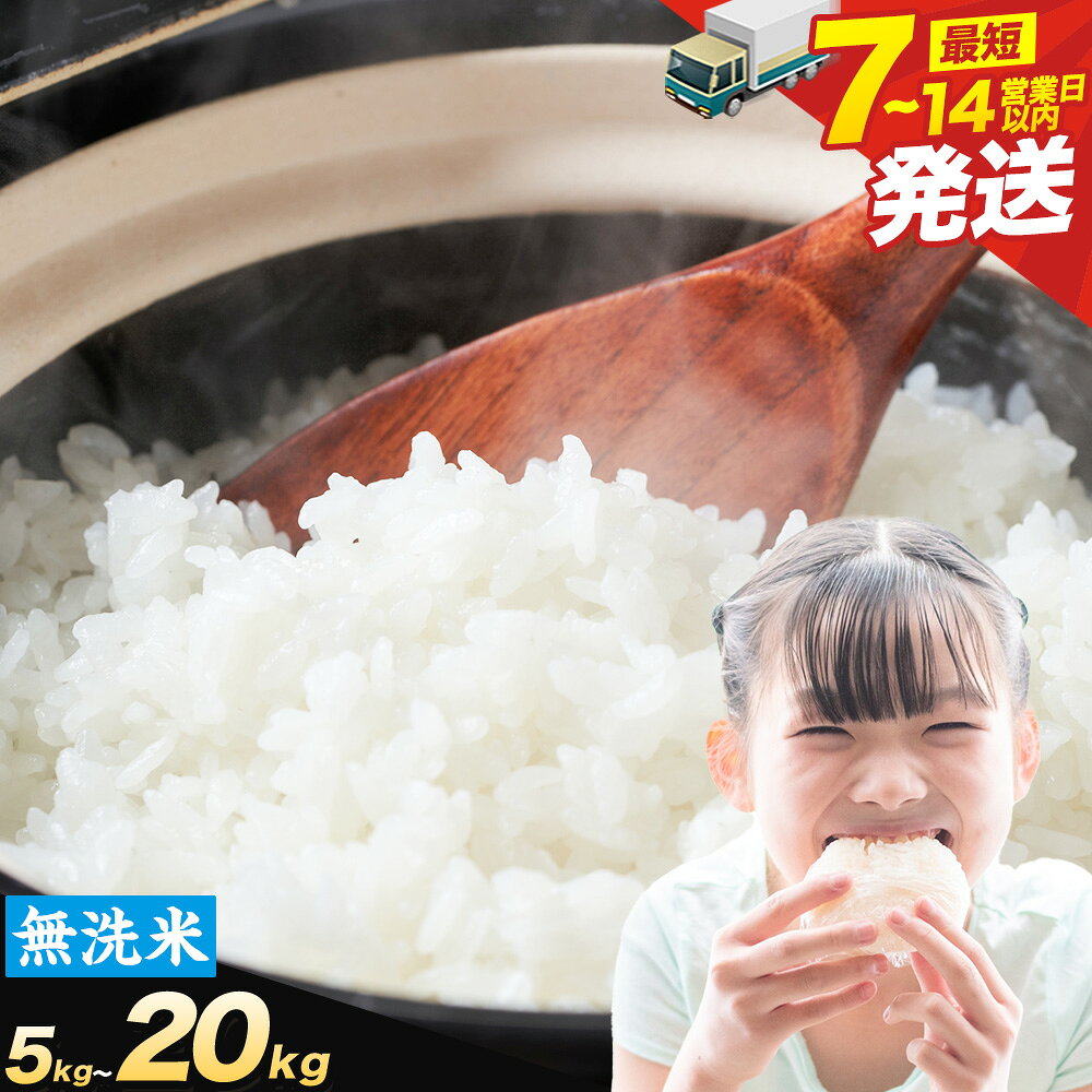 7-14営業日発送 無洗米 晴れの国岡山の無洗米 選べる内容量 5kg 10kg 20kg 3~12ヶ月 定期便 岡山県産 無洗米 無洗 米 矢掛町《回数をお選びください》米 コメ