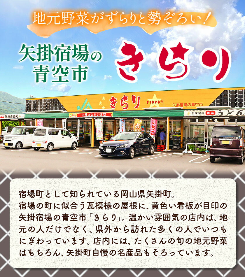 【ふるさと納税】旬の新鮮野菜詰め合わせセット 野菜5〜10品目入 青空市きらり《30日以内に出荷予定》岡山県 矢掛町 野菜 野菜詰め合わせ トマト きゅうり アスパラガス 玉ねぎ リーキ 送料無料 - 画像3
