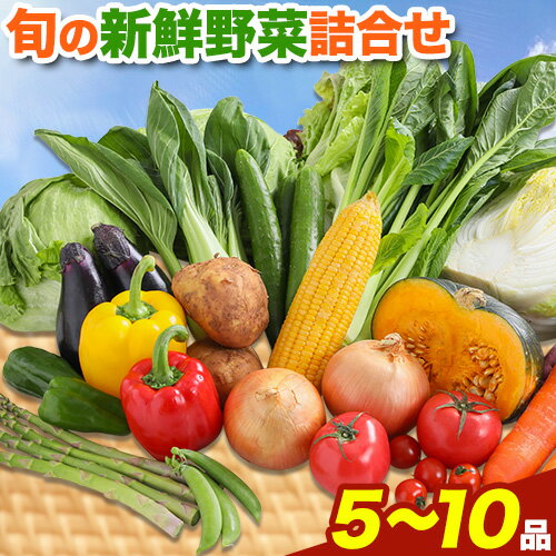 旬の新鮮野菜詰め合わせセット 野菜5〜10品目入 青空市きらり《30日以内に出荷予定》岡山県 矢掛町 野菜 野菜詰め合わせ トマト きゅうり アスパラガス 玉ねぎ リーキ 送料無料