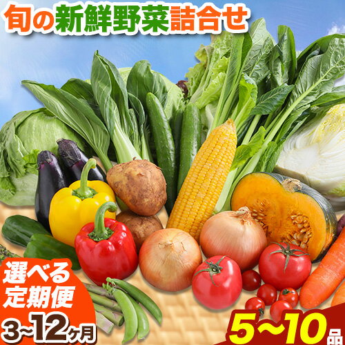 【選べる定期便】旬の新鮮野菜詰め合わせセット 野菜5〜10品目入 3ヶ月 or 6ヶ月 or 12ヶ月 定期便 青空市きらり《お申込み月の翌月から出荷開始》岡山県 矢掛町 野菜 野菜詰め合わせ トマト きゅうり アスパラガス 玉ねぎ リーキ 送料無料