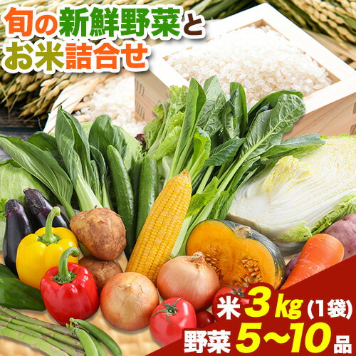 旬の新鮮野菜とお米詰め合わせセット 野菜5〜10品目入 青空市きらり《30日以内に出荷予定》岡山県 矢掛町 野菜 野菜詰め合わせ 米 米3kg トマト きゅうり アスパラガス 玉ねぎ リーキ 送料無料