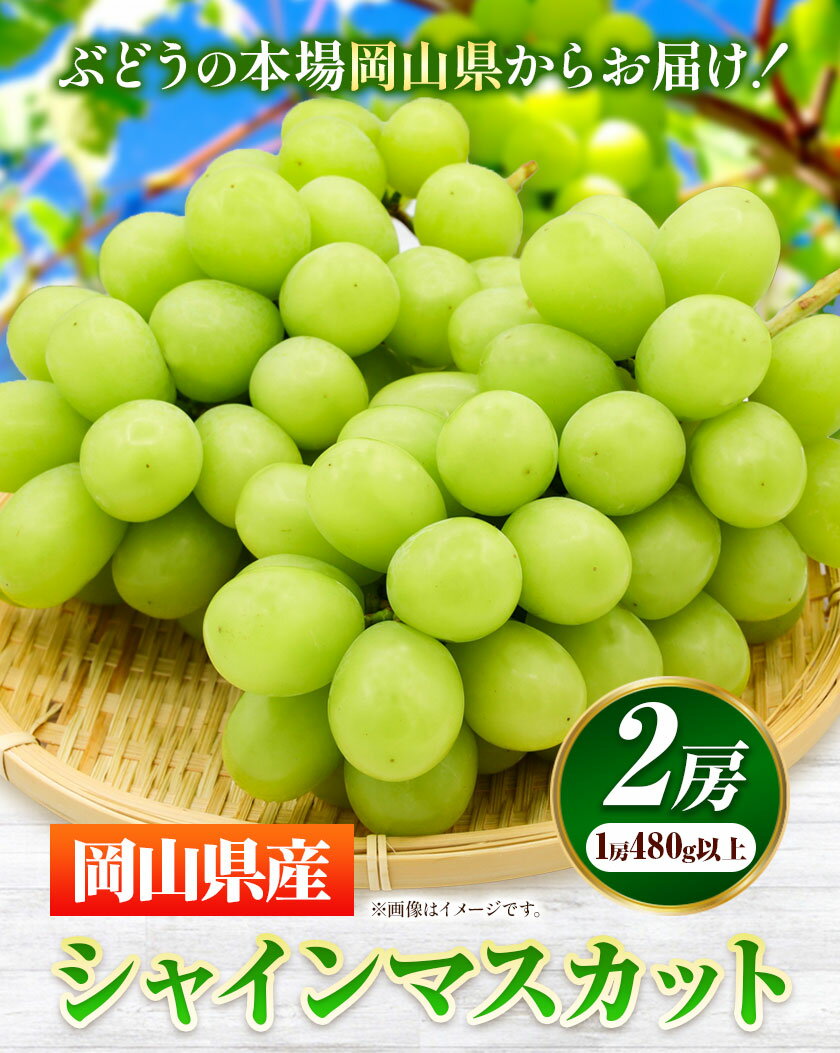 【ふるさと納税】【先行予約】 岡山県産 シャインマスカット 2房 (480g以上) 【配送不可地域あり】 《7月上旬-8月中旬頃に出荷予定(土日祝除く)》 岡山県 矢掛町 マスカット ぶどう 葡萄 果物 フルーツ サムネイル2