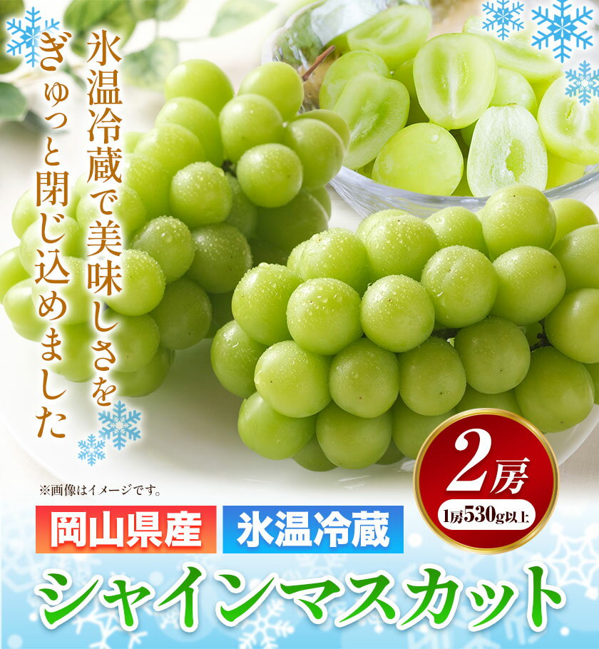 【ふるさと納税】 【2025年出荷先行予約】岡山県産 冷蔵 シャインマスカット 2房 (530g以上) 【配送不可地域あり】 《2025年11月中旬-12月末頃に出荷予定(土日祝除く)》 岡山県 矢掛町 マスカット ぶどう 葡萄 氷温冷蔵 果物 フルーツ サムネイル2