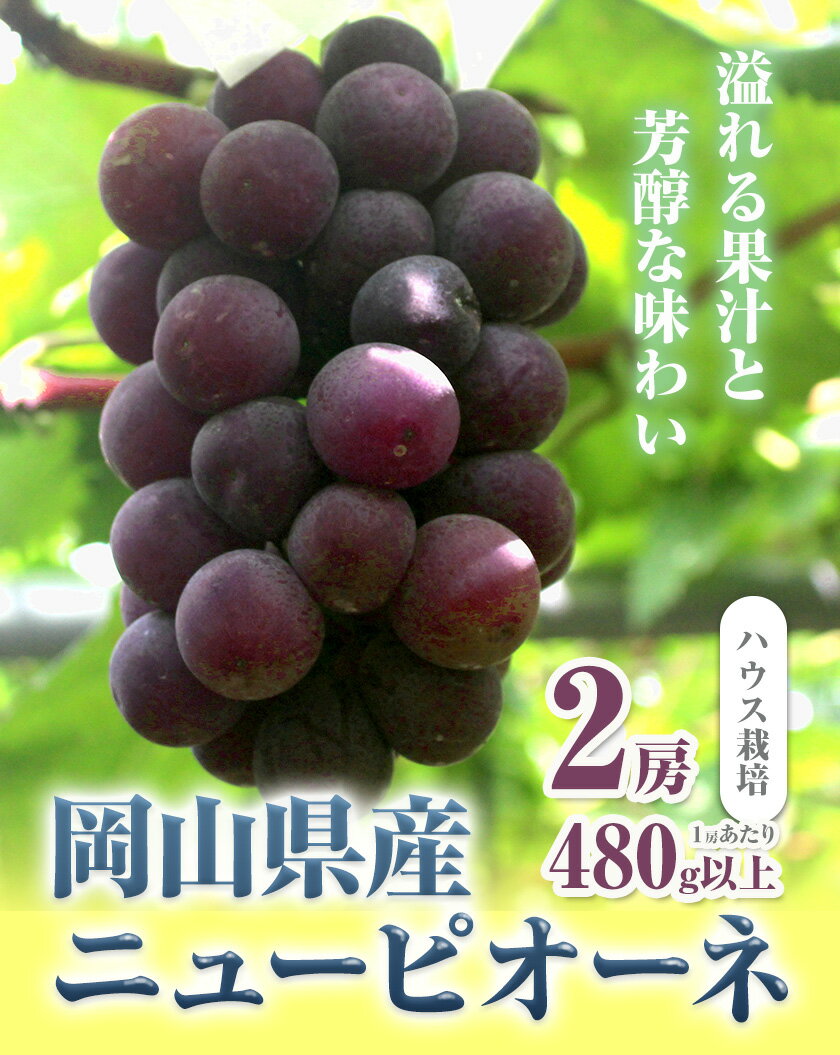 【ふるさと納税】【先行予約】 岡山県産 ニューピオーネ 2房 480g以上 ハウス栽培 葡萄 果物 厳選出荷 スイーツ フルーツ デザート 岡山県矢掛町《7月上旬-8月下旬に出荷予定(土日祝除く)》 種なしぶどう 【配送不可地域あり】 サムネイル2
